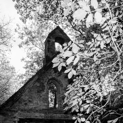 Bedham Church