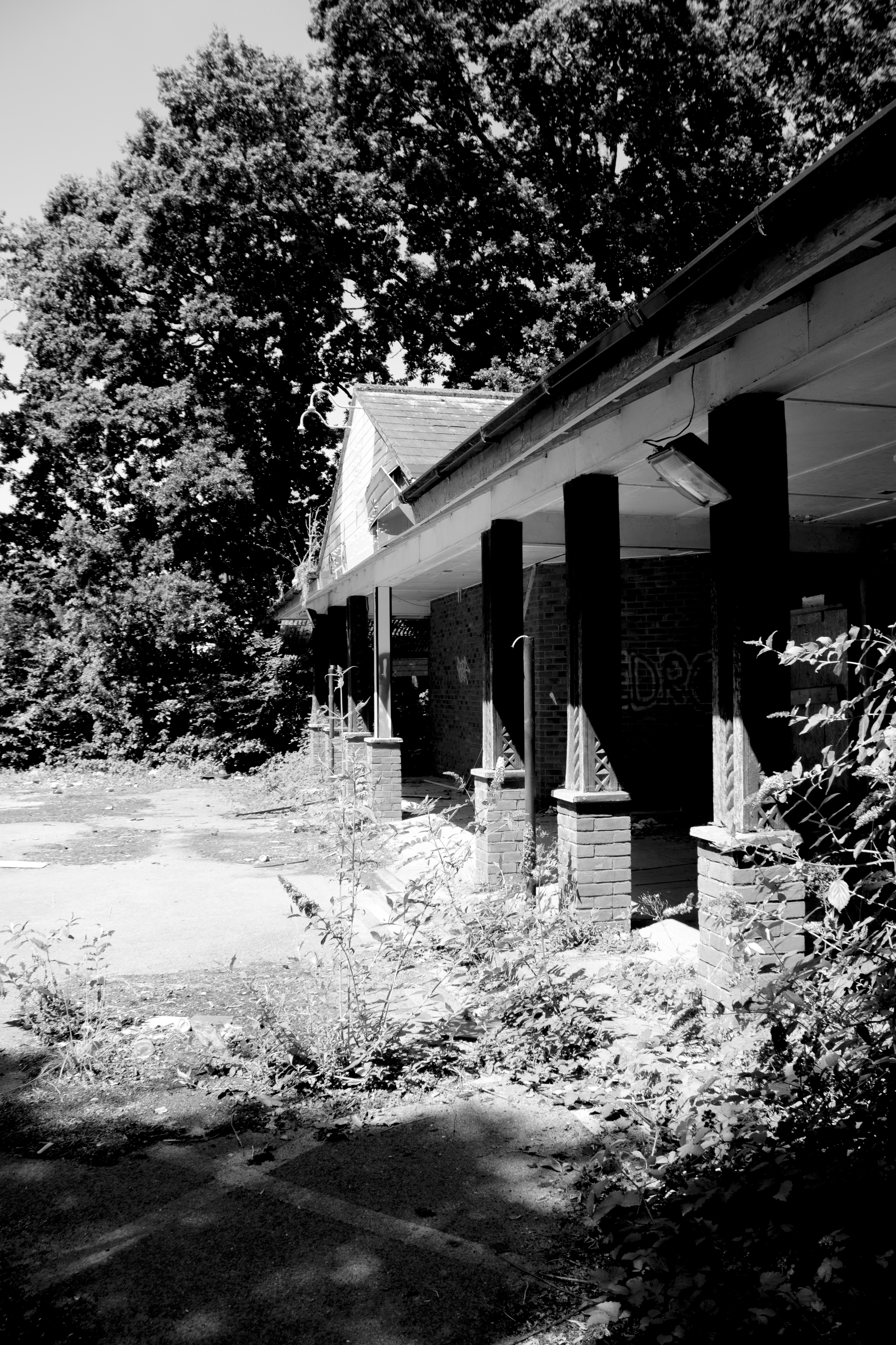 Entrance lobby, overgrown and vandalised