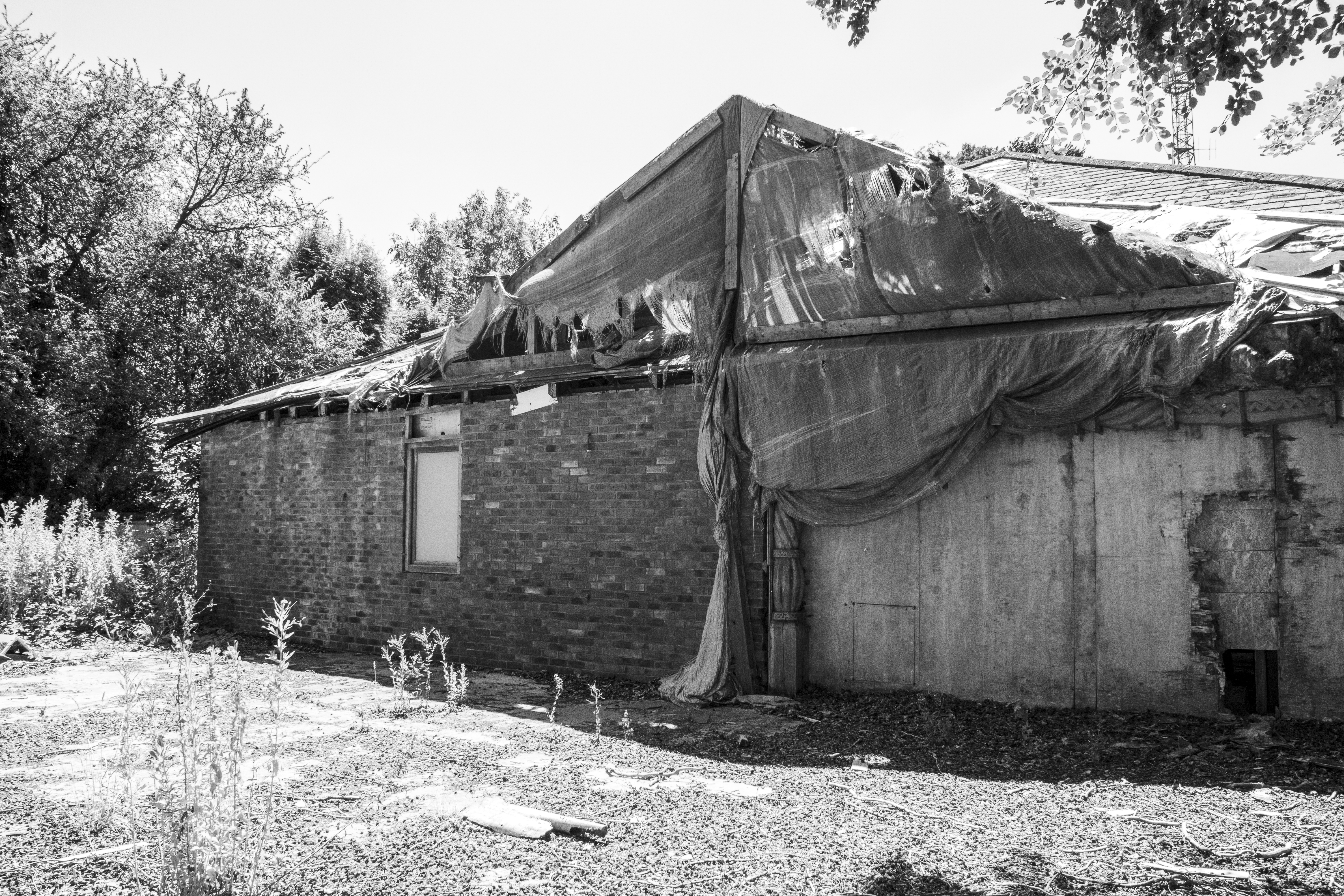 Rear of the building, overtaken by vegetation