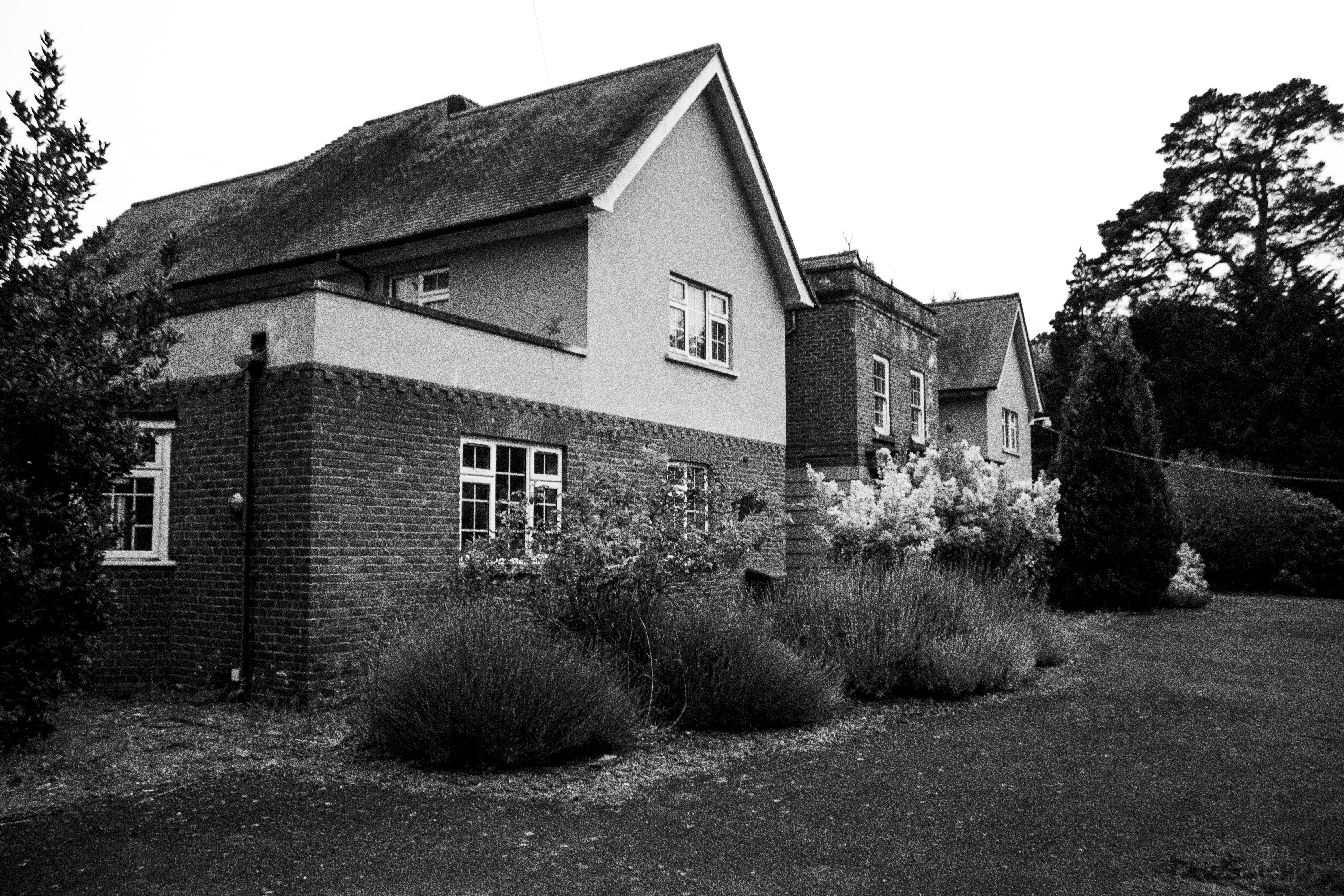 Dormer windows and pale-render façade