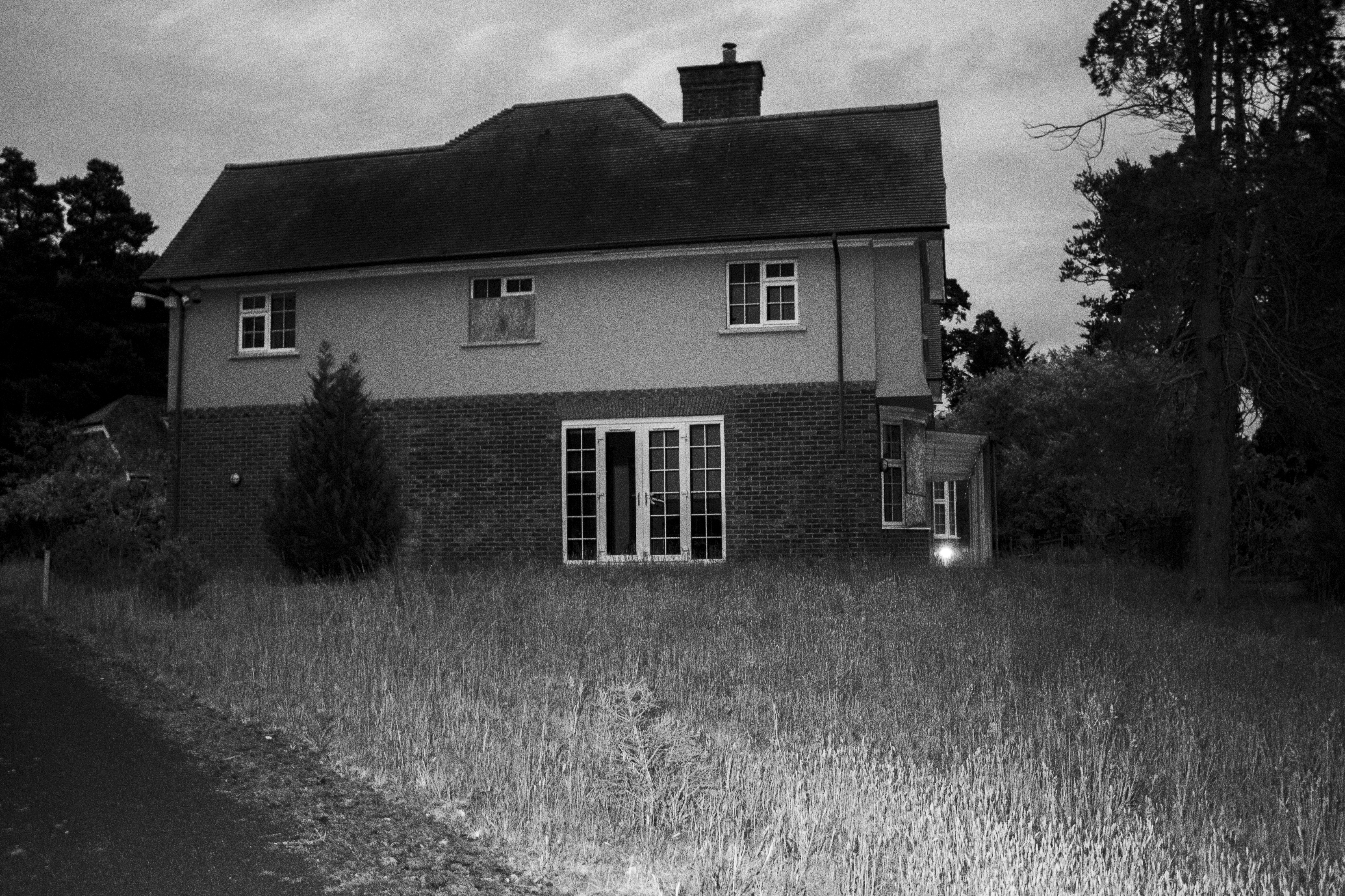 Rear terrace and overgrown garden