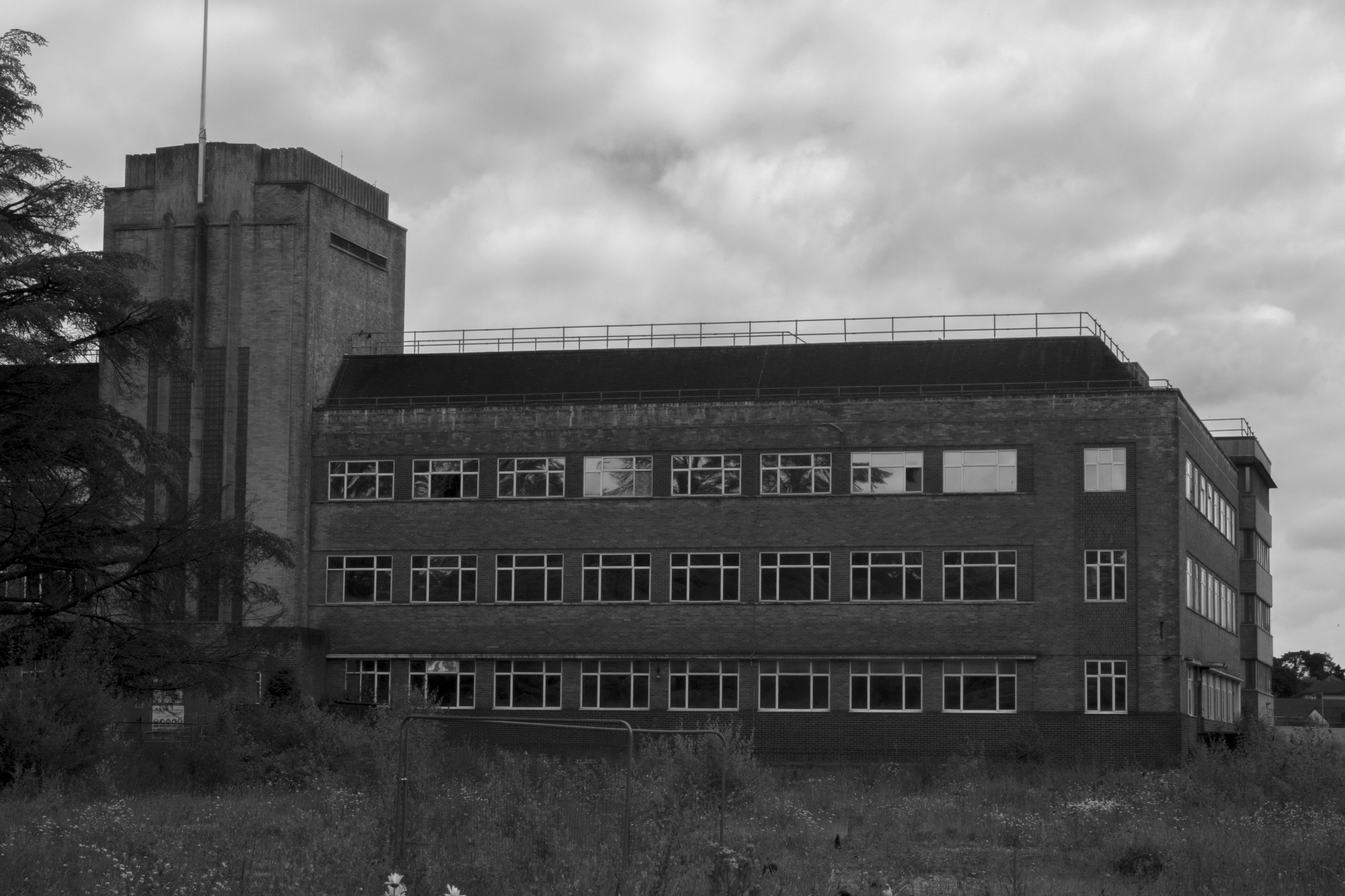 Overgrown meadow in front of the main lab building