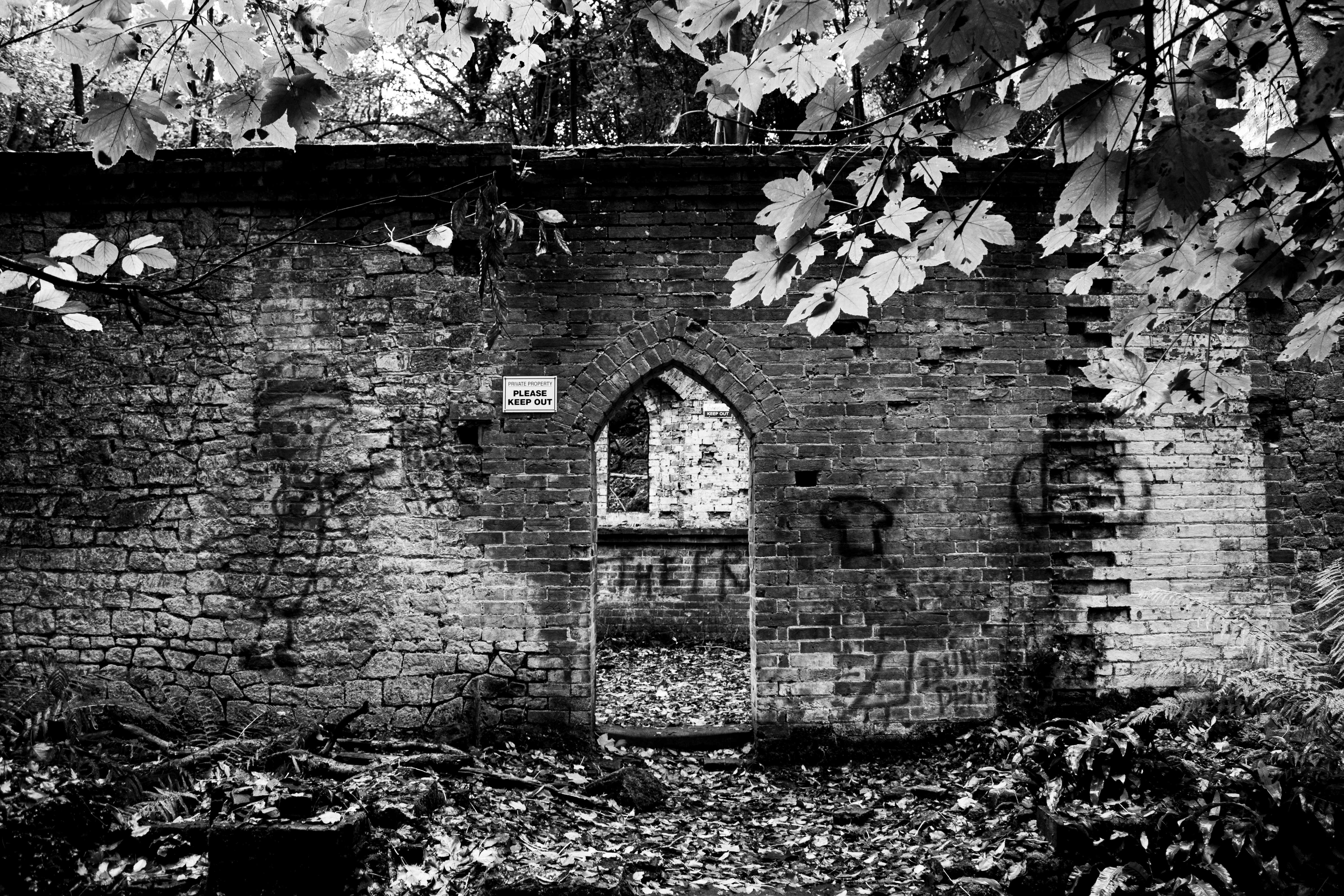 Wide shot: flint walls nestled in woods