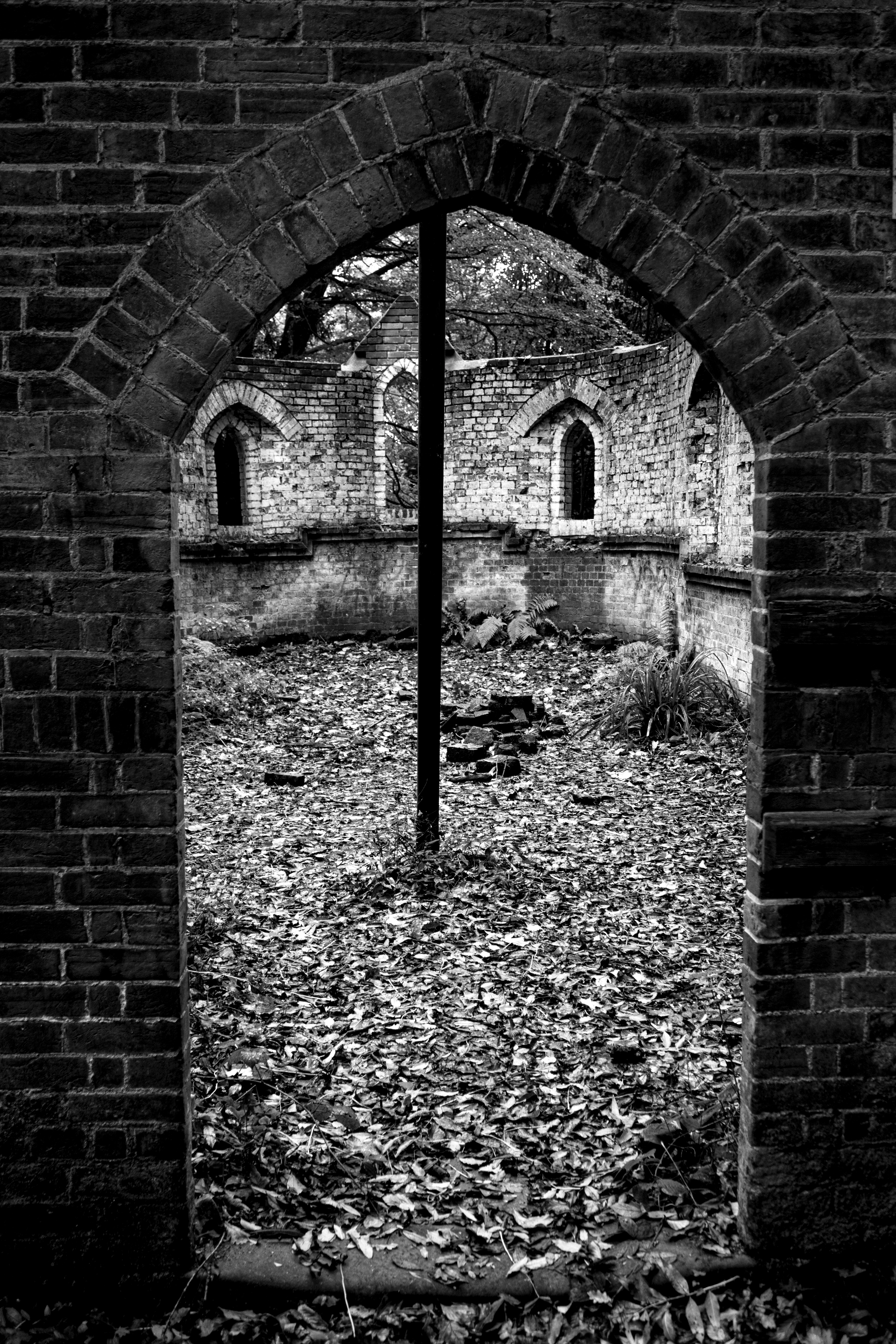 Crumbling flint wall with forest backdrop