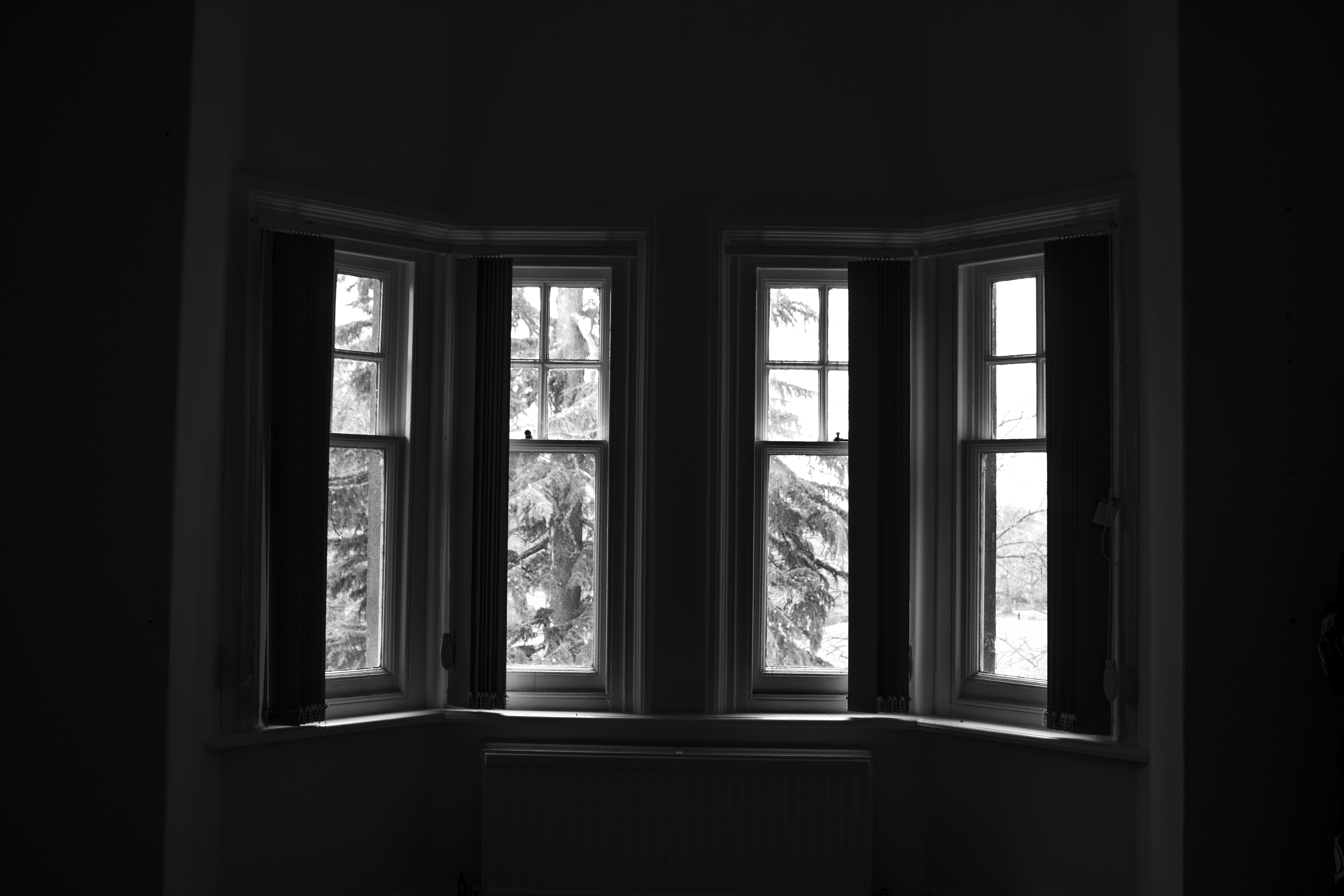 Bay window framing overgrown yard